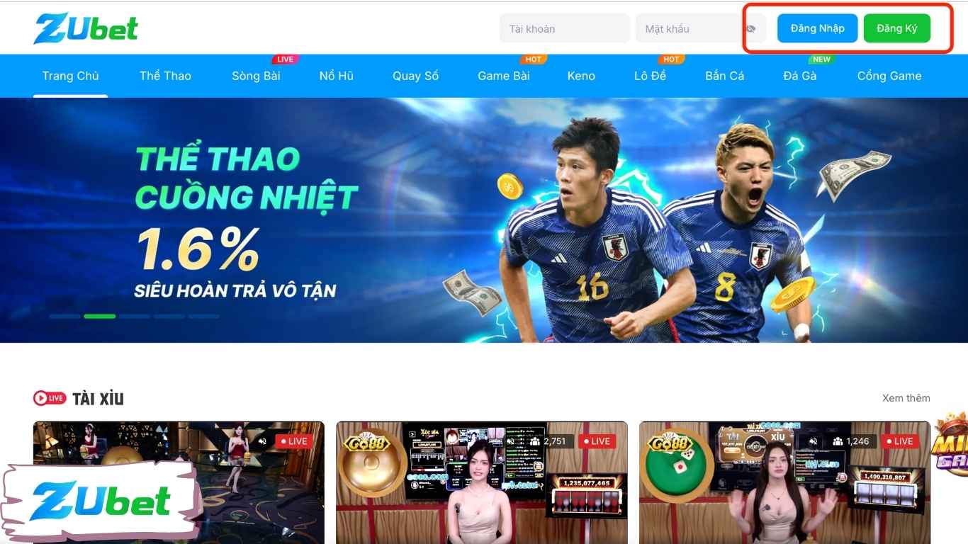 Điều kiện - điều khoản khi đăng ký đăng nhập Zubet. Điều kiện - điều khoản khi đăng ký đăng nhập Zubet.