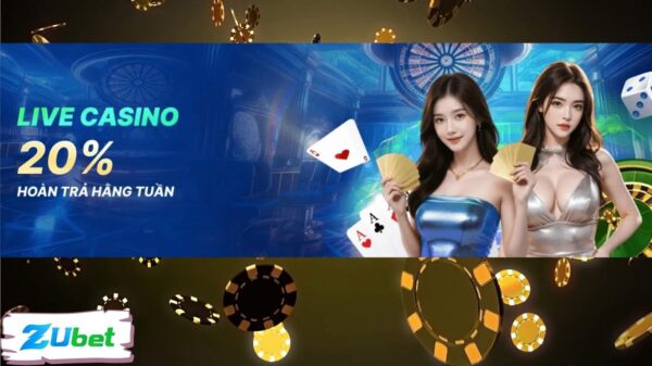 Hoàn trả live casino Zubet là gì?