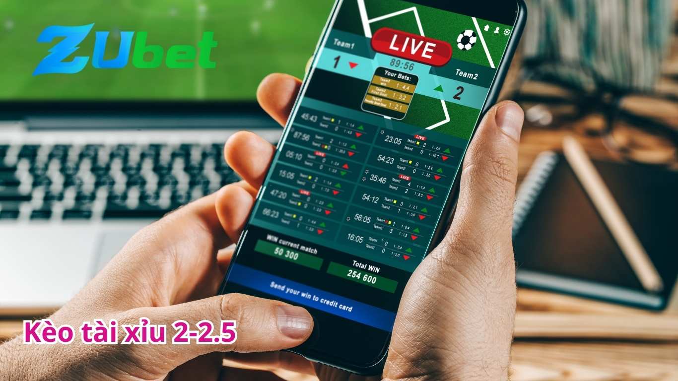 Kinh nghiệm chơi kèo tài xỉu 2-2.5 hiệu quả cao Kinh nghiệm chơi kèo tài xỉu 2-2.5 hiệu quả cao